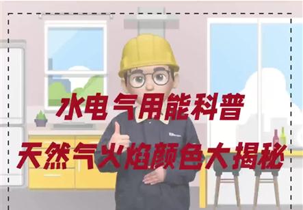 四川省广安市广安区凤凰大道777号 